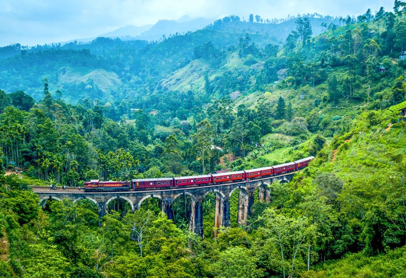 1-Day Tour Itinerary in Nuwara Eliya